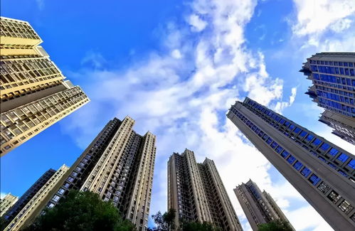 房地產暴雷后的保命之戰 一場殘酷的“魷魚游戲”