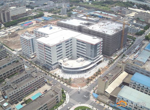 重點項目建設加速，彰顯白云發展活力